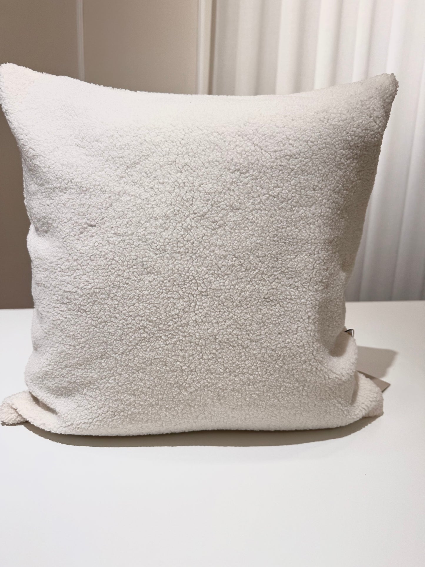 Federa Teddy